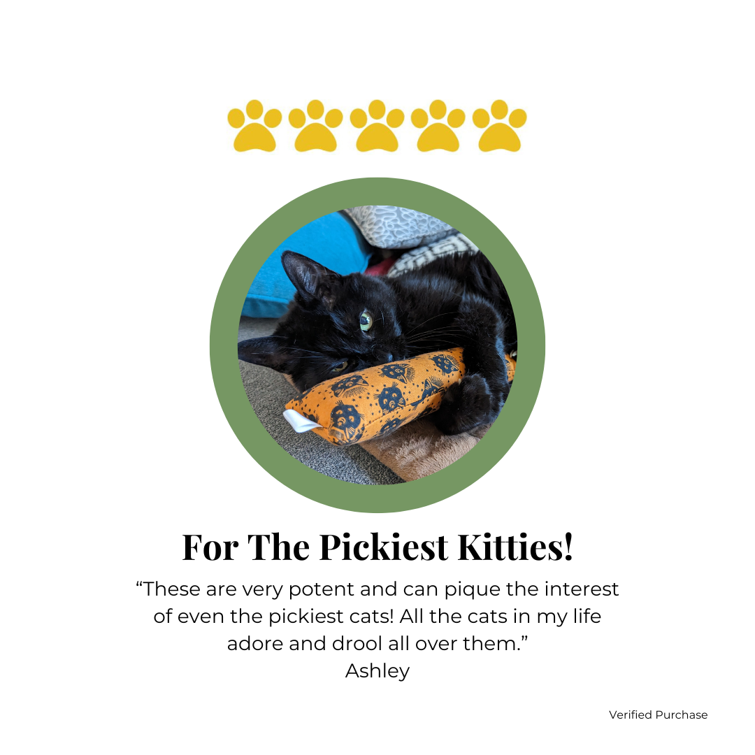 Moths & Moon | Catnip with Valerian Root Cat Toys |Cat Kicker