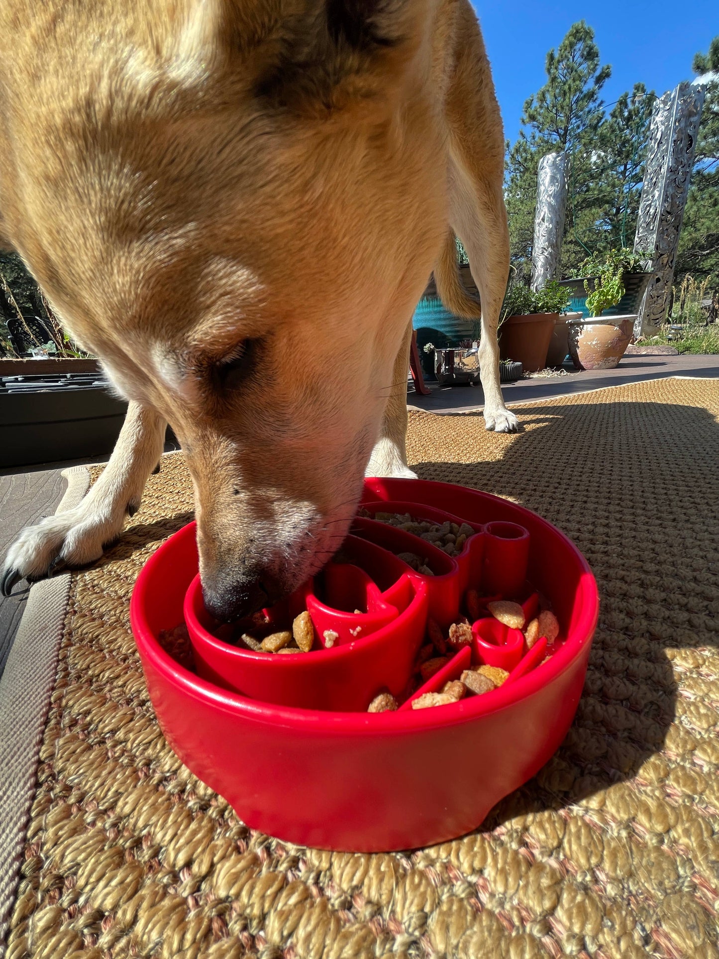 Santa Design eBowl Enrichment Slow Feeder Bowl for Dogs
