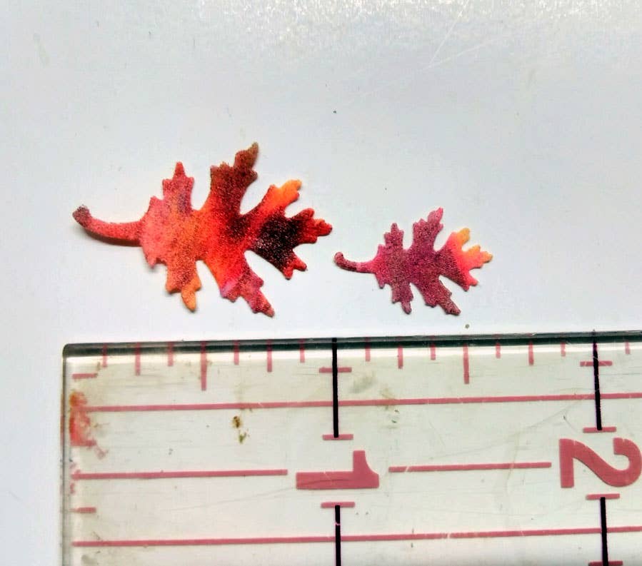 Fall Leaves Wafer Paper Edible Cake Decorations