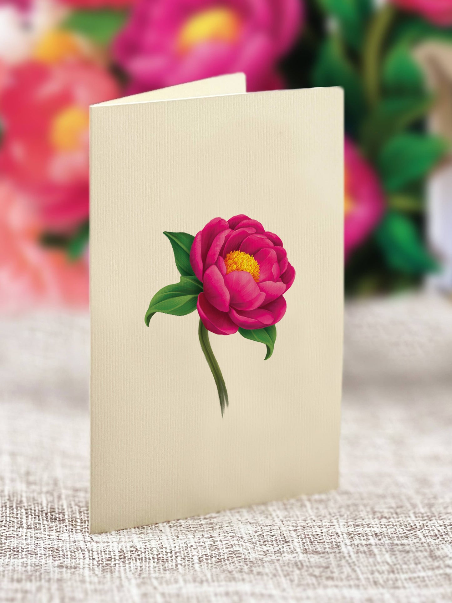 Mini Peony Paradise Pop-up Greeting Cards