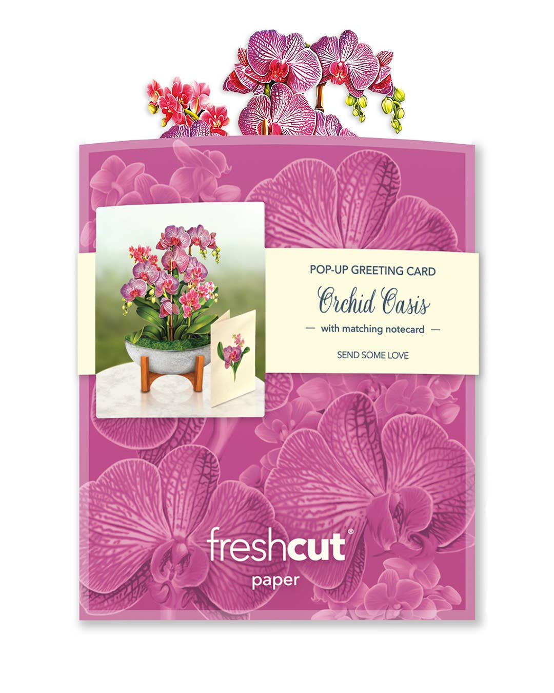 Mini Orchid Oasis Pop-up Greeting Cards