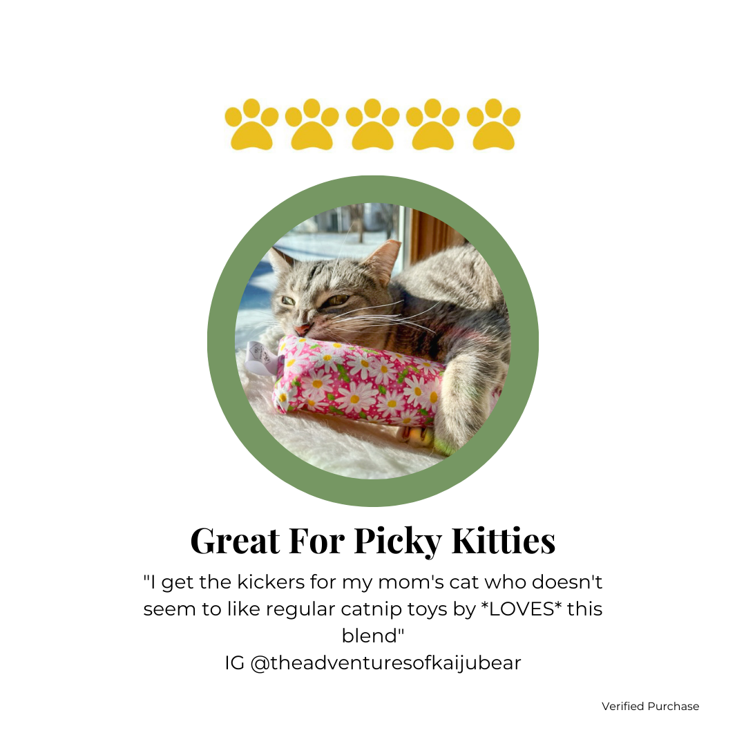 Cosmic Cats | Catnip and Valerian Root Cat Toys | Cat Kickers