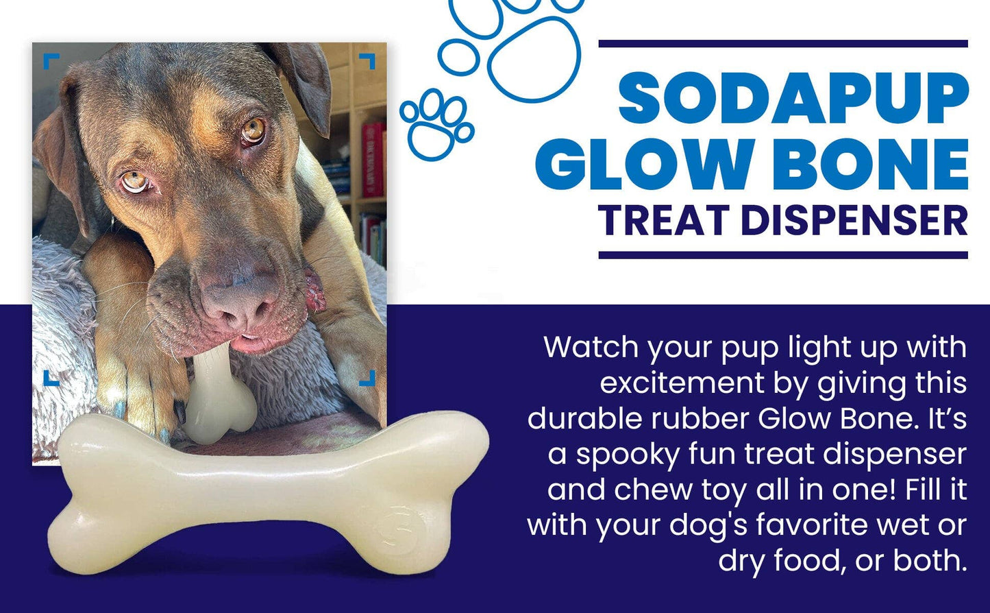 Halloween Glow in the Dark Chewing & Floating Bone Toy