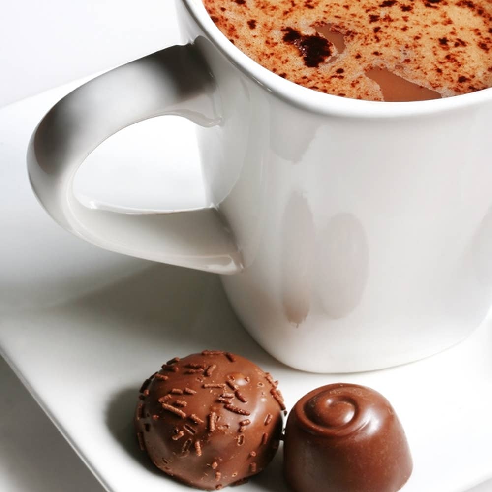 Door County Salted Caramel Truffle Gourmet Hot Cocoa 7oz Tin
