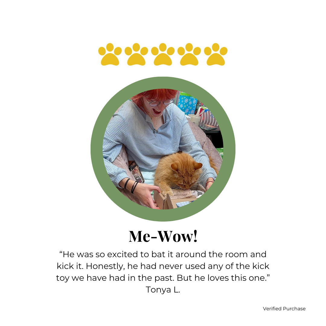 Witchcraft |  Catnip and Valerian Root Cat Toys | Cat Kicker