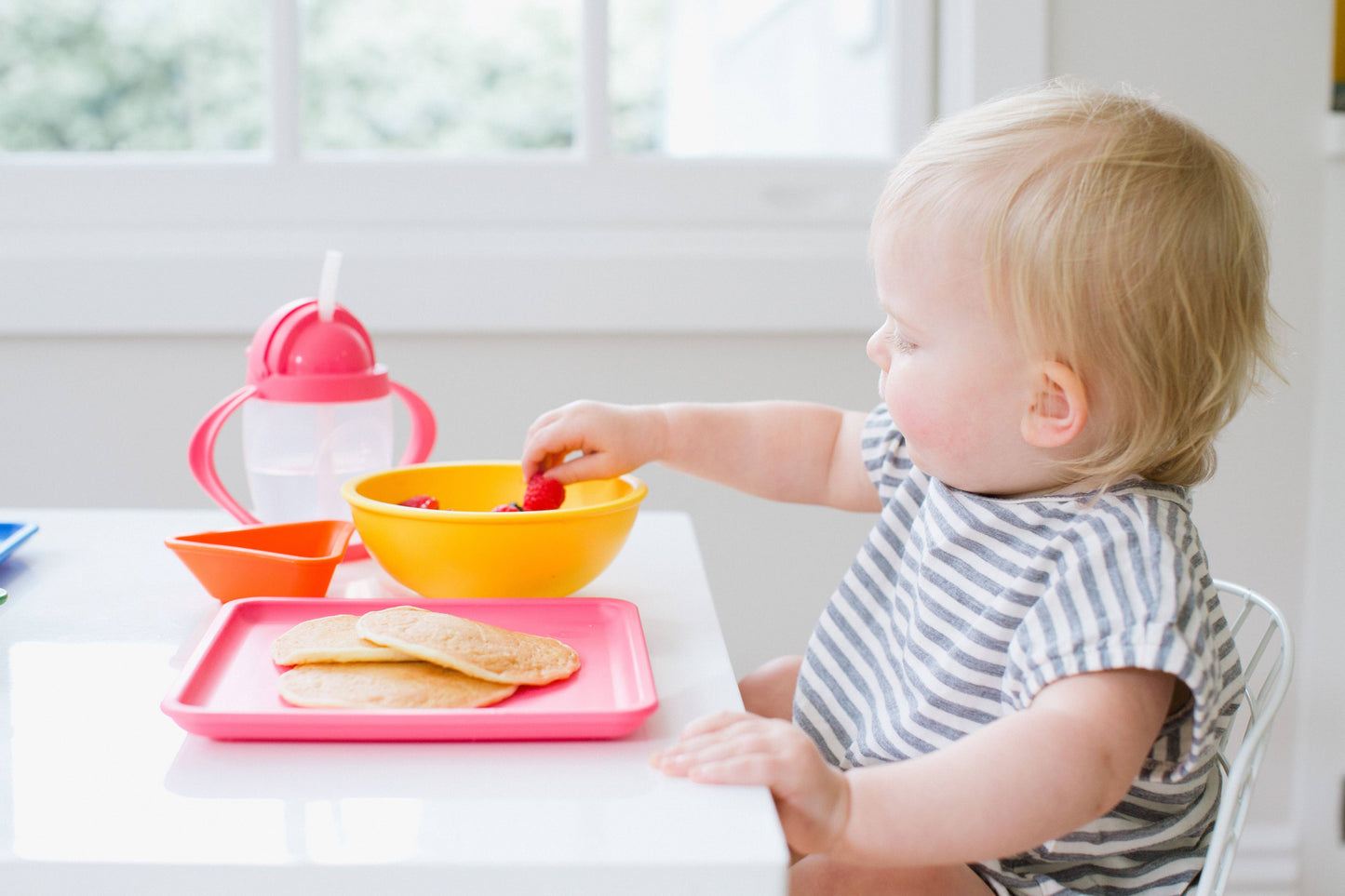 Lollaland Mealtime Dipping Cup - Sold Individually