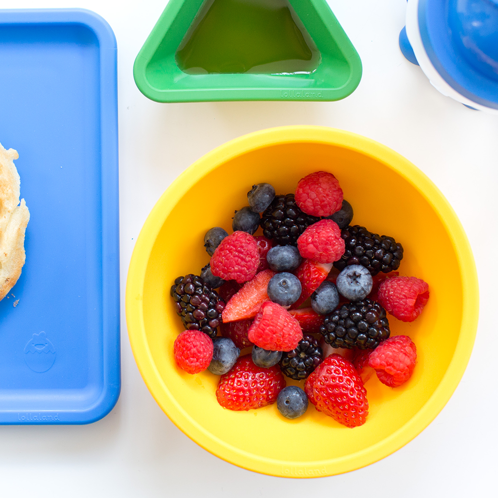 Lollaland Mealtime Bowl - Sold Individually