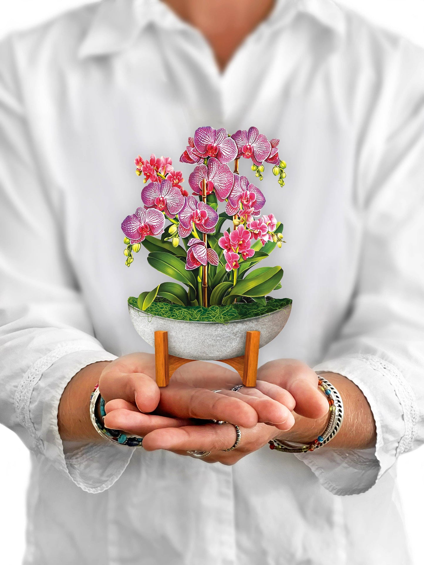 Mini Orchid Oasis Pop-up Greeting Cards