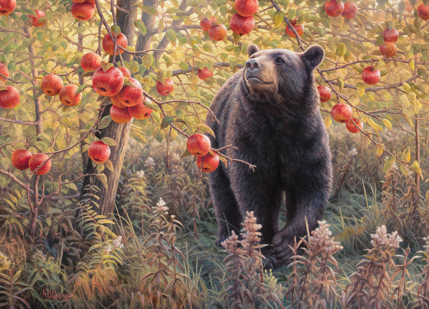 Den Dreams 500pc puzzle