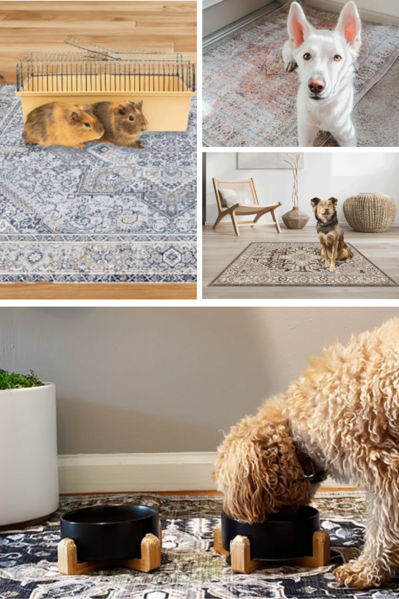 Washable, Waterproof Pet Mat