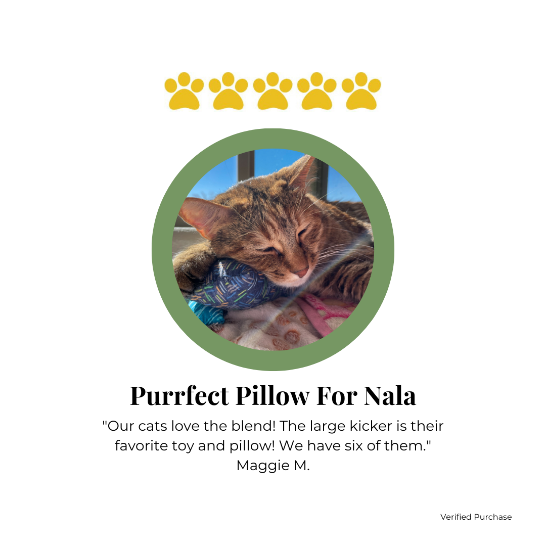 Strawberry |  Catnip with Valerian Root Cat Toys | Cat Kicker