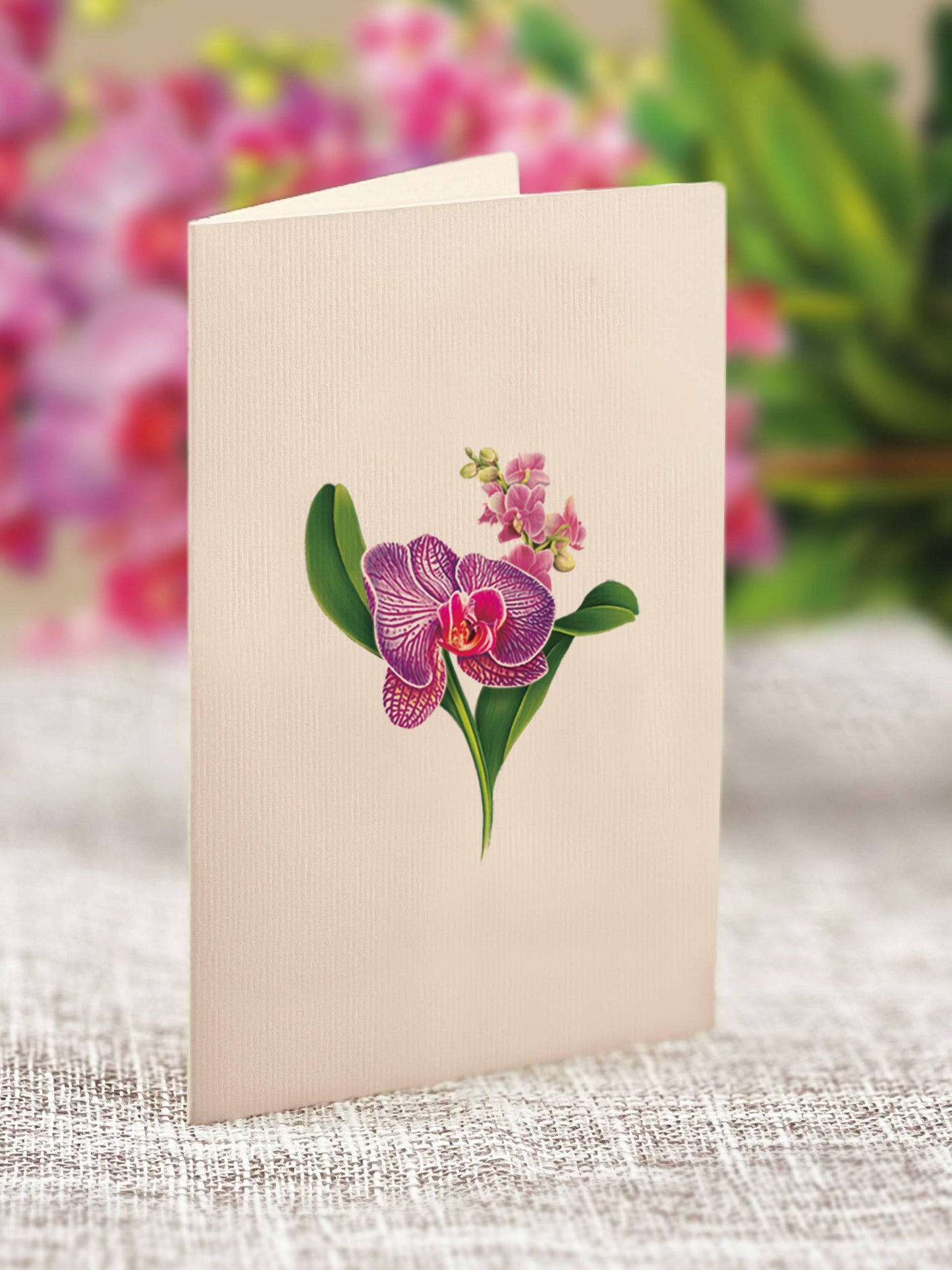 Mini Orchid Oasis Pop-up Greeting Cards