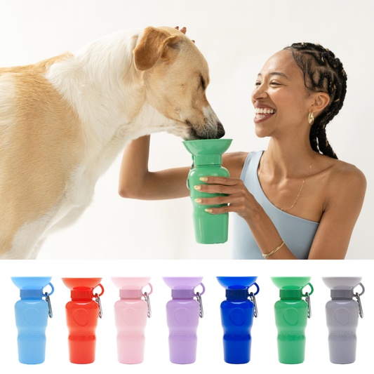 Springer Classic Dog Travel Water Bottle Bowl, 22oz