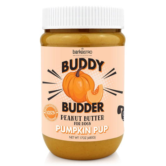 Buddy Budder Pumpkin Pup