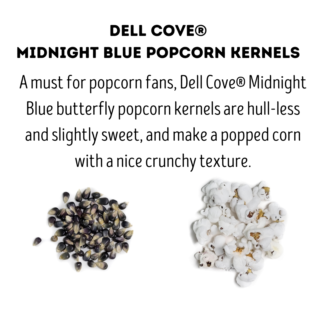 Midnight Blue Popcorn Kernels - 2 Pound Bag