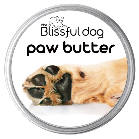 2oz Blissful Dog Paw Butter