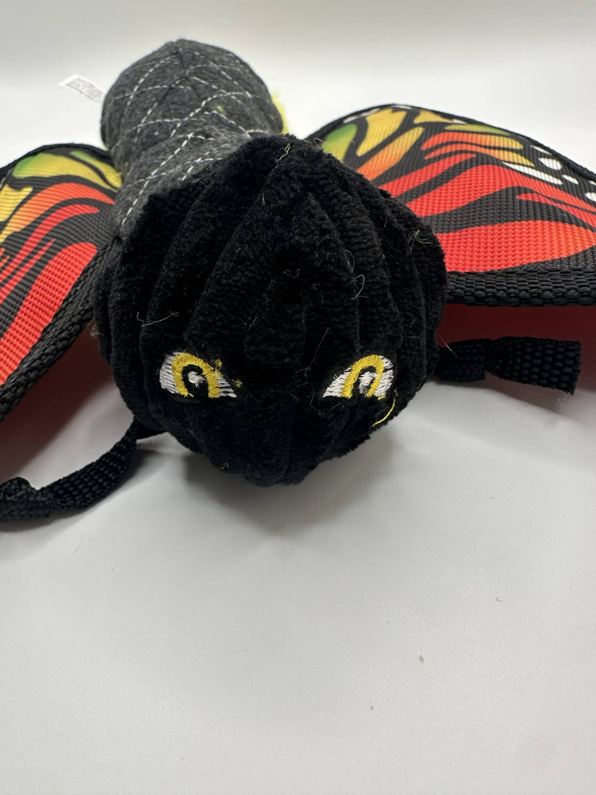 Ruffian Flyer Butterfly