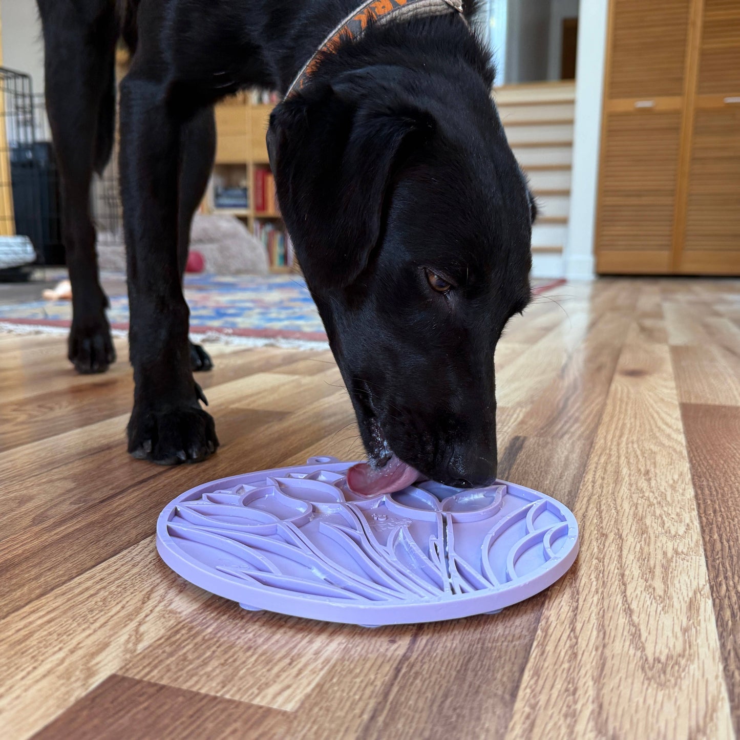 Tulip Design eMat Enrichment Lick Mat With Suction Cups