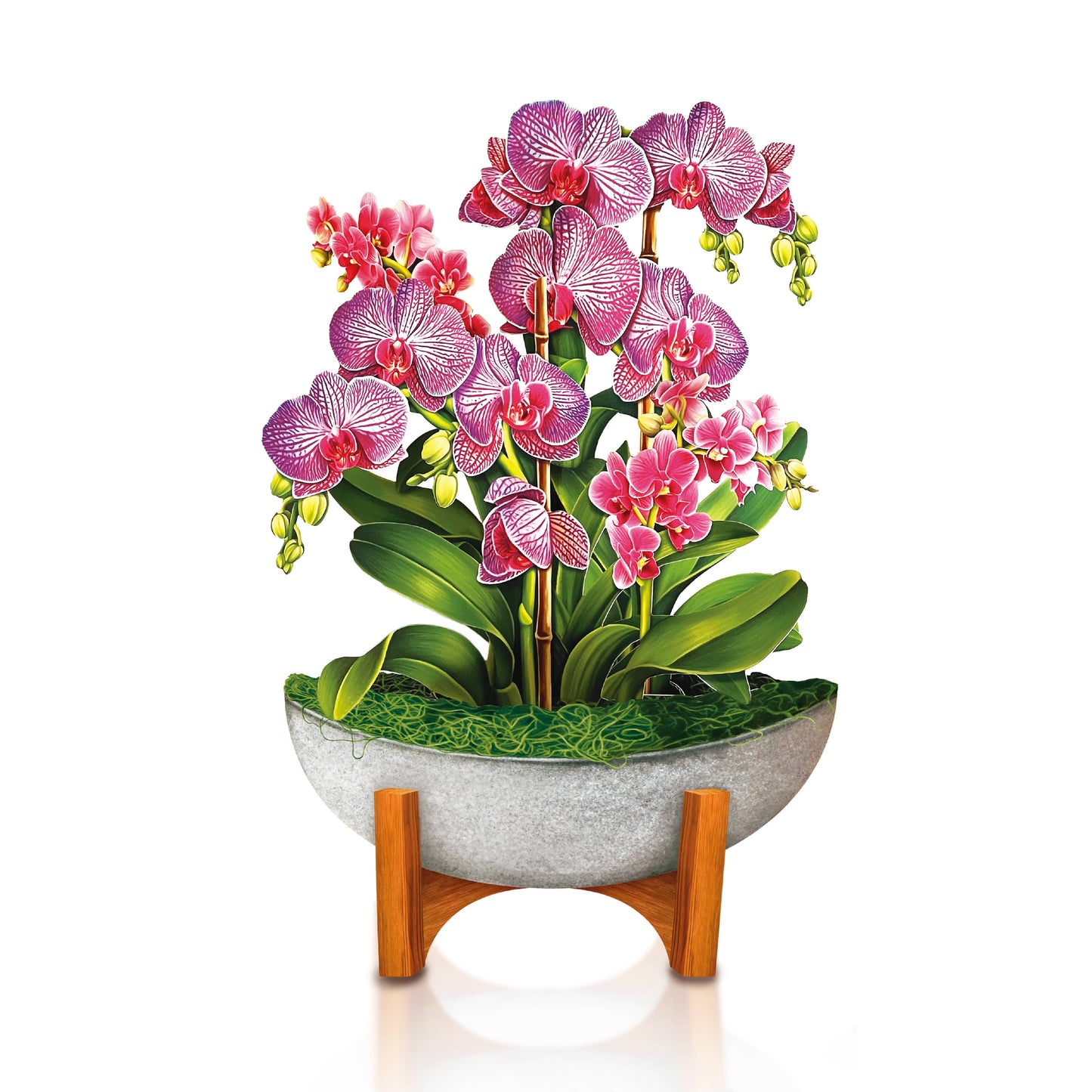 Mini Orchid Oasis Pop-up Greeting Cards