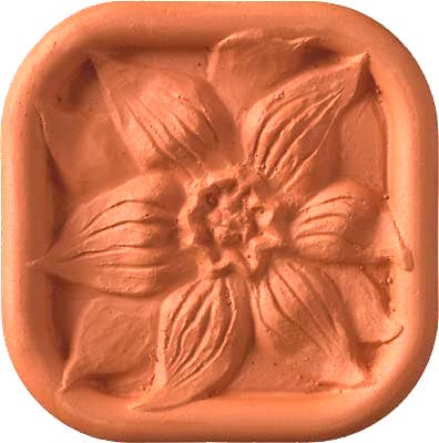 Brown Sugar Saver - Clematis Flower