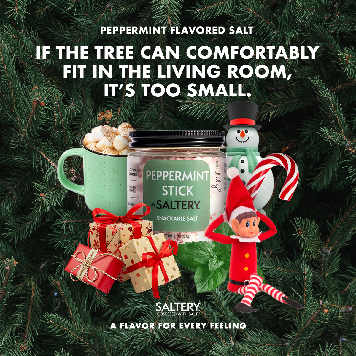 Peppermint Stick Snackable Salt