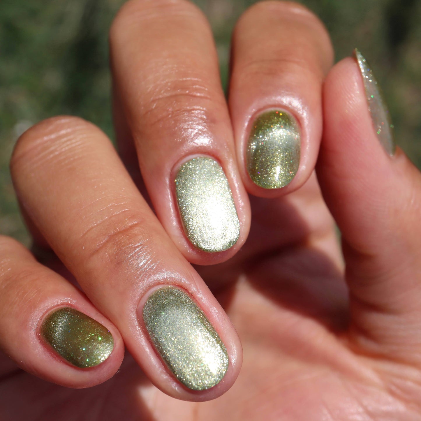Best Fronds Magnetic Nail Polish