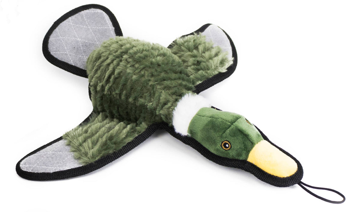 Ruffian Game Bird Duck