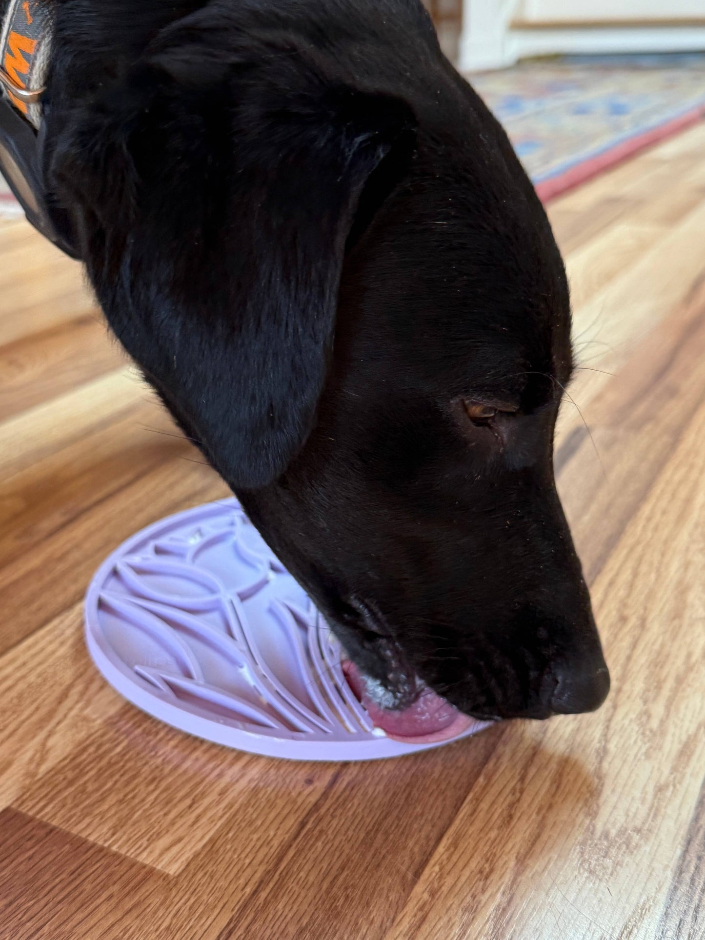 Tulip Design eMat Enrichment Lick Mat With Suction Cups