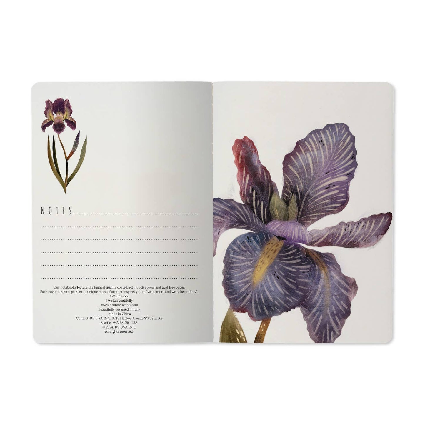 A5 Notebook - Irises