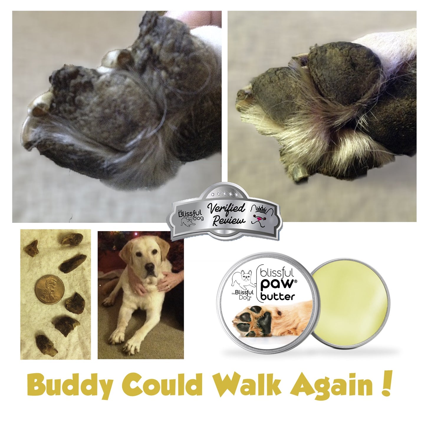 2oz Blissful Dog Paw Butter